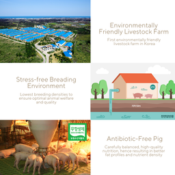 MONTRAK Premium Jeju Pork Lean Hind Frozen - Antibiotic Free 300g