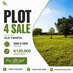 Plots
