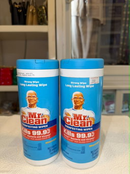Mr. Clean Disinfecting Wipes