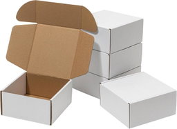 Mailer Box Blanca