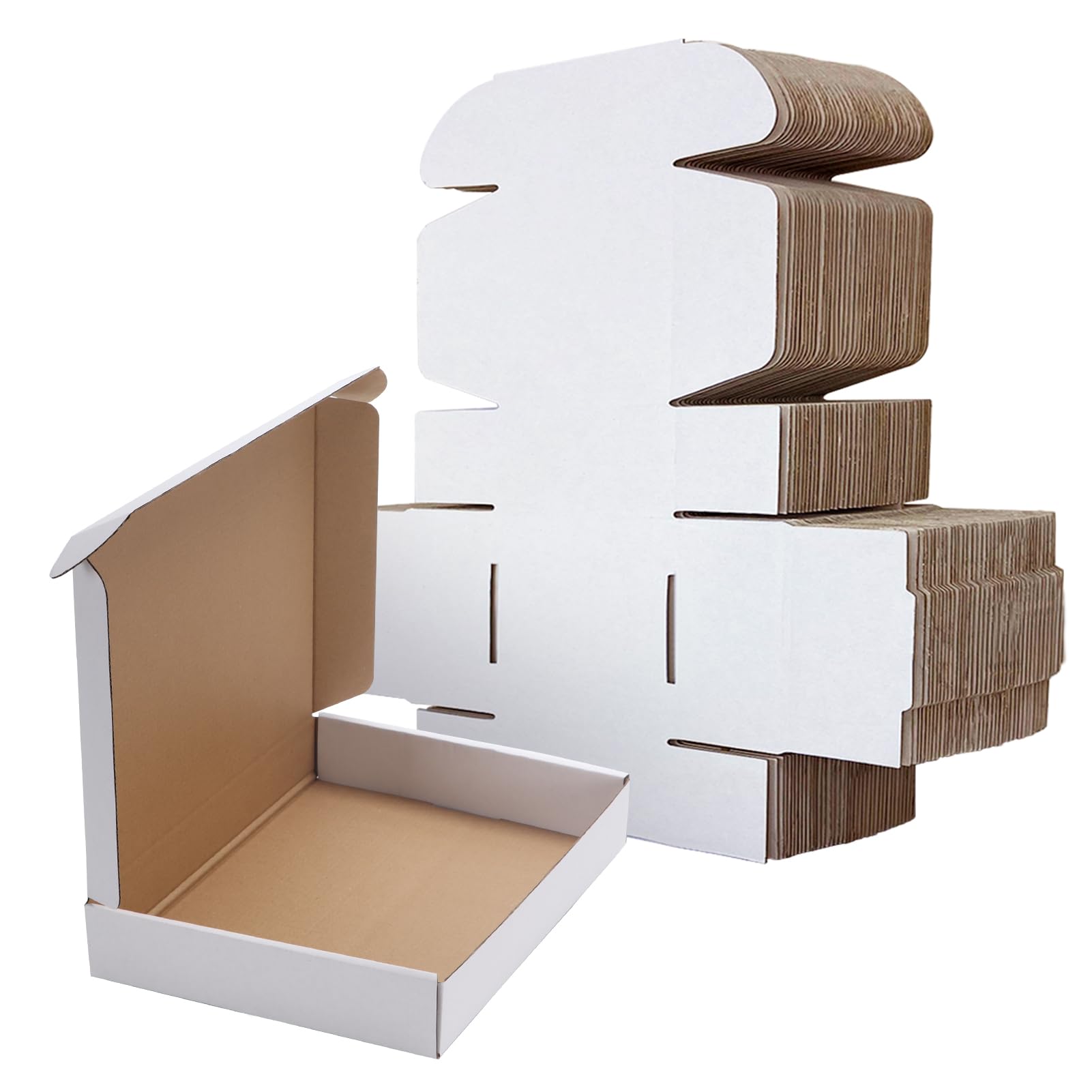 Mailer Box Blanca_6