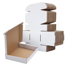 Mailer Box Blanca