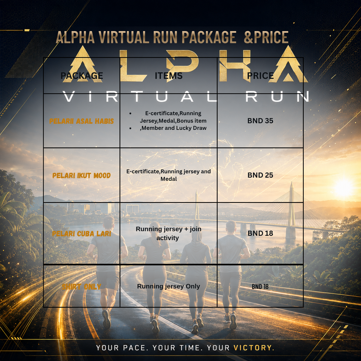 ALPHA VIRTUAL RUN _1