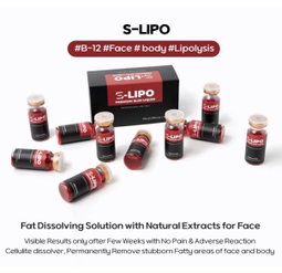 S Lipo per box 10 v