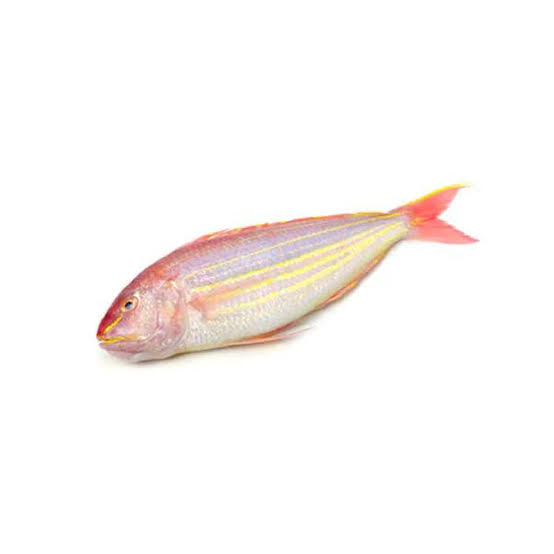 Bisugo