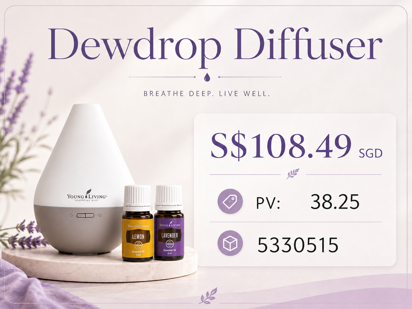 Dewdrop Diffuser Set_0