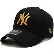 Topi_1