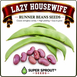 🌱LAZY HOUSEWIVE RUNNER BEANS🌱 x 10 seeds