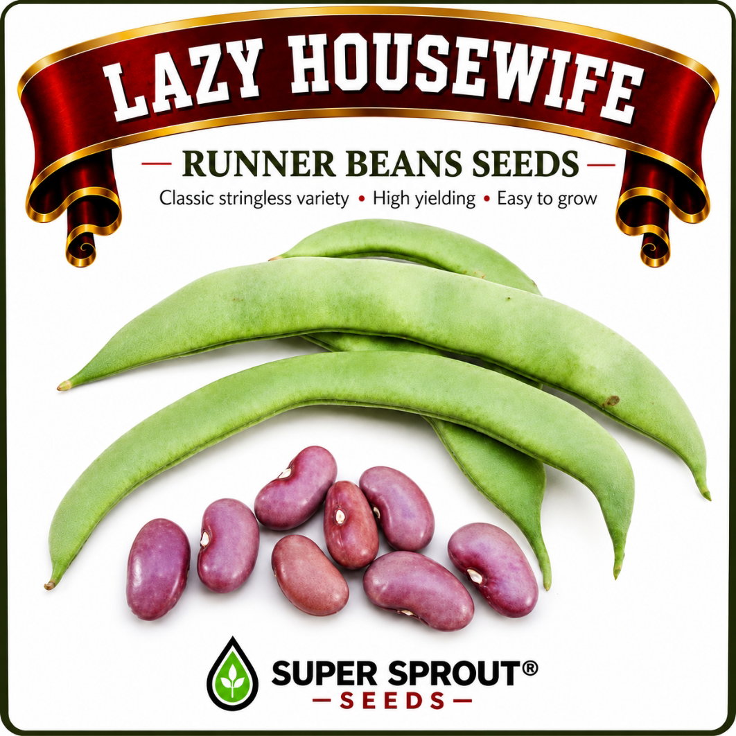 🌱LAZY HOUSEWIVE RUNNER BEANS🌱 x 10 seeds