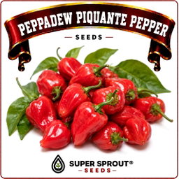 🫑PEPPADEW PIQUANTE PEPPER 🫑 x 15+ organic seeds