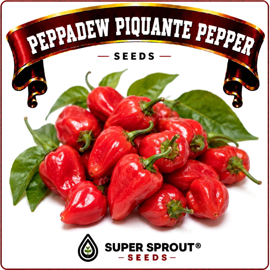 🫑PEPPADEW PIQUANTE PEPPER 🫑 x 15+ organic seeds