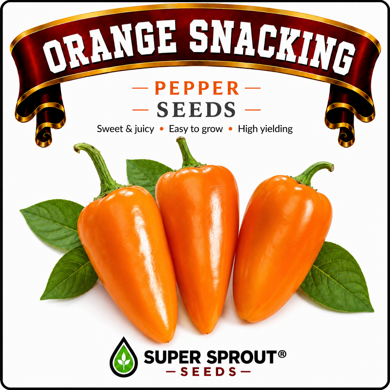 🫑ORANGE SNACK PEPPER🫑 x 10+ organic seeds