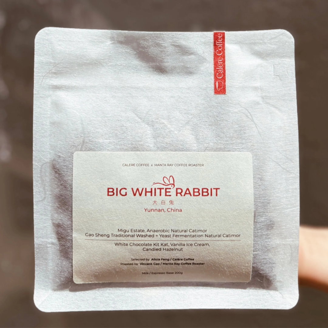 China Big White Rabbit Flat white 🐰