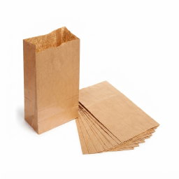 Bolsa Kraft 4
