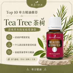 Tea Tree 茶树精油｜Melaleuca alternifolia 15ml