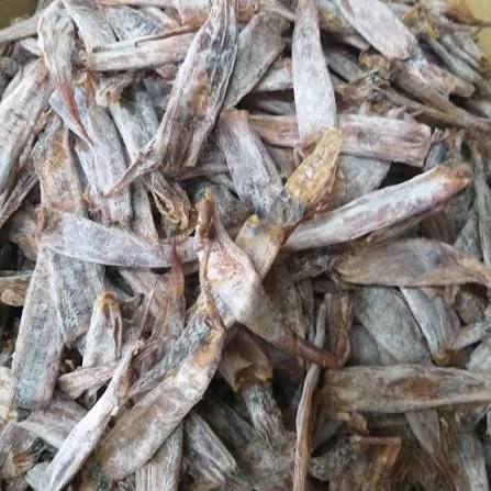  Dried Pusit