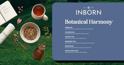 Botanical Harmony Wellness Tea
