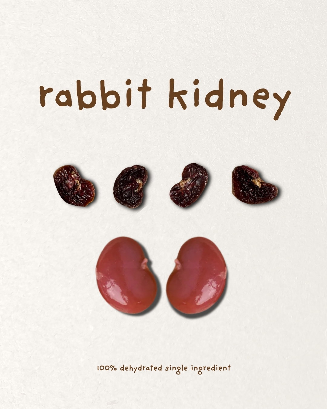 Rabbit Kidney_0