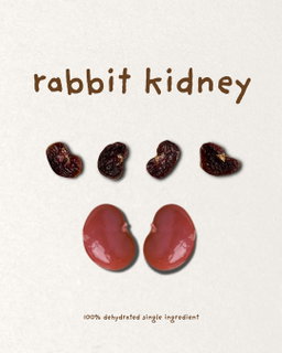Rabbit Kidney