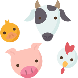 koera