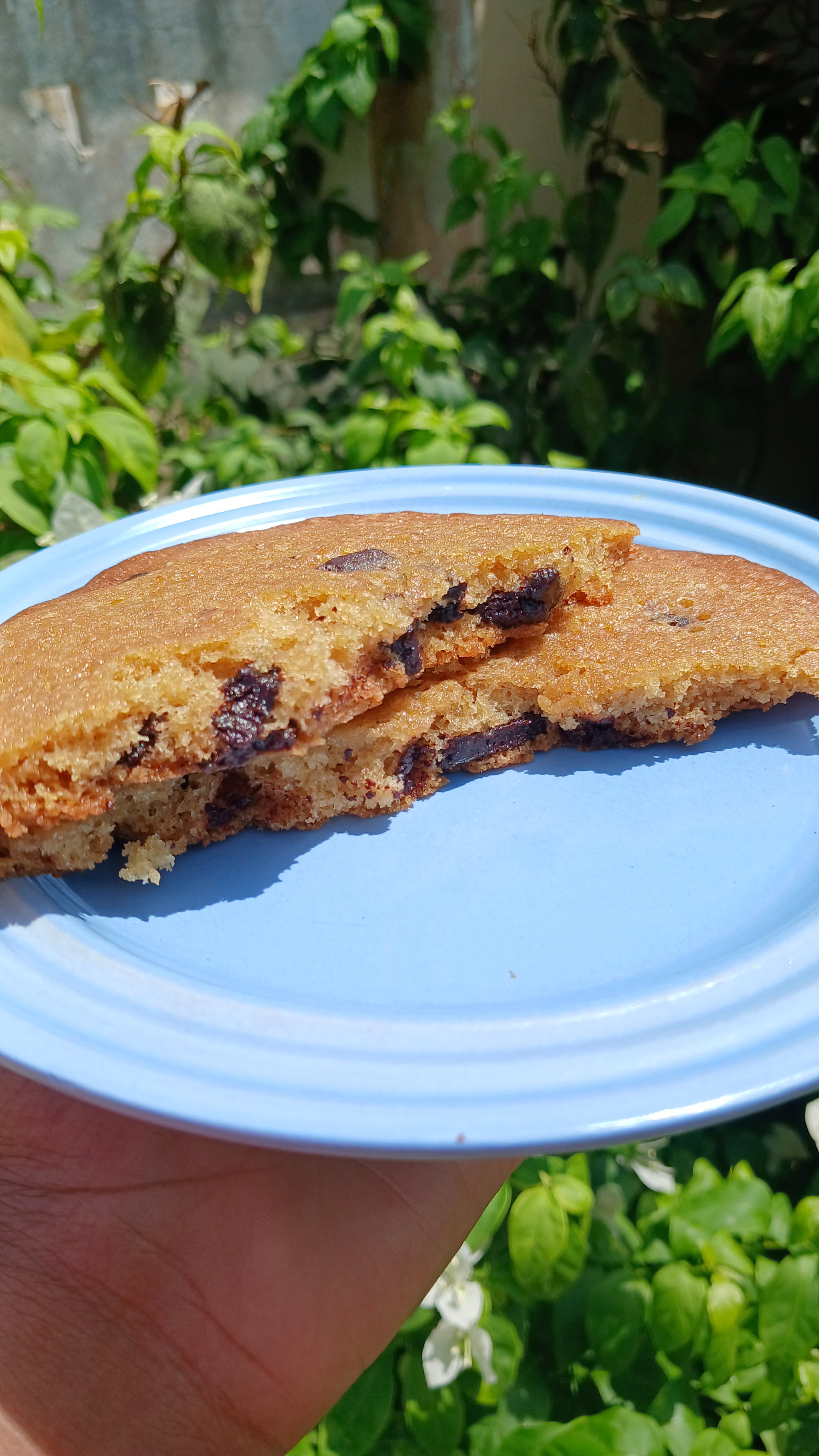 Chocolate Chip Cookies_0