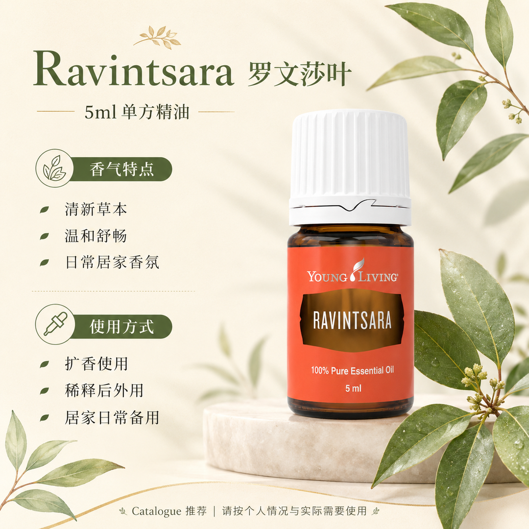 Ravintsara 罗文莎叶精油 5ml