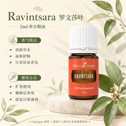 Ravintsara 罗文莎叶精油 5ml