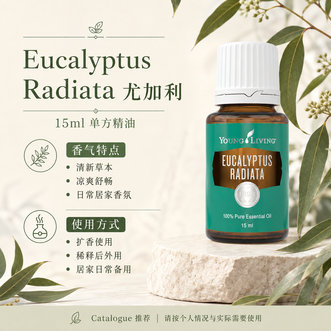 Eucalyptus Radiata 尤加利精油 15ml