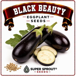 Exotic Eggplant combo pack x 6 packs