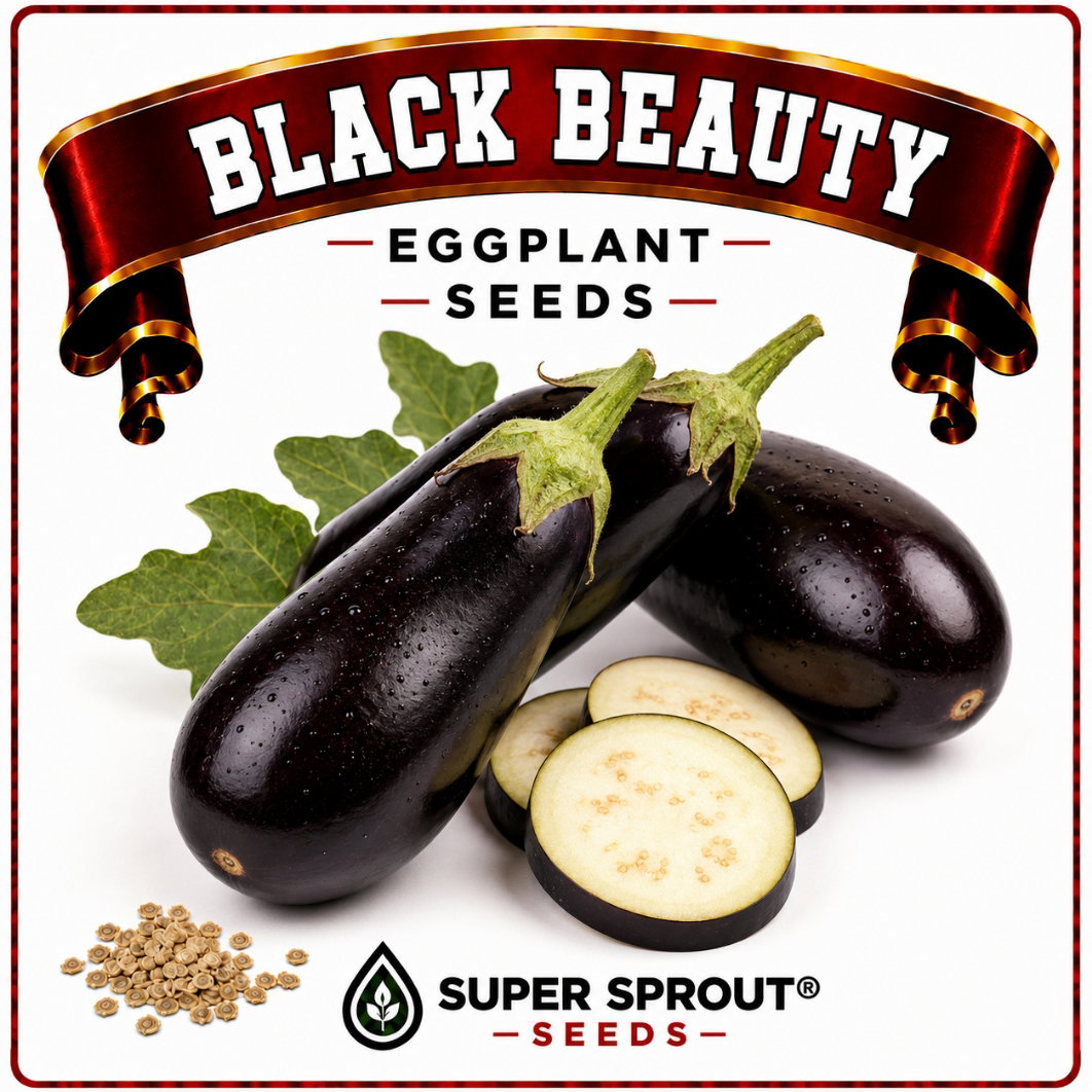 Exotic Eggplant combo pack x 6 packs_7