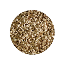 Komodo Corn Cob Fine