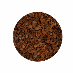 Komodo Wilderness Bark Landscape