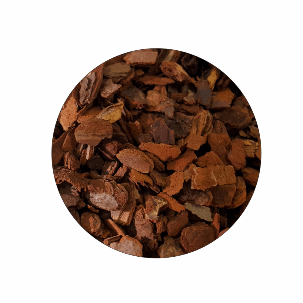 Komodo Wilderness Bark Landscape_4