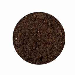 Komodo Spider Peat Landscape