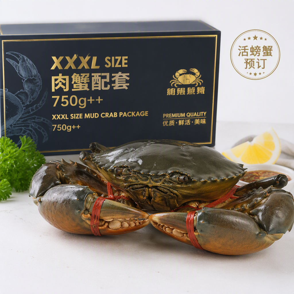 XXXL Size 活螃蟹 预订 750G++