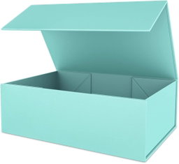 Mailer Magnetica - Individual