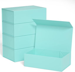 Mailer Magnetica - 5 PACK