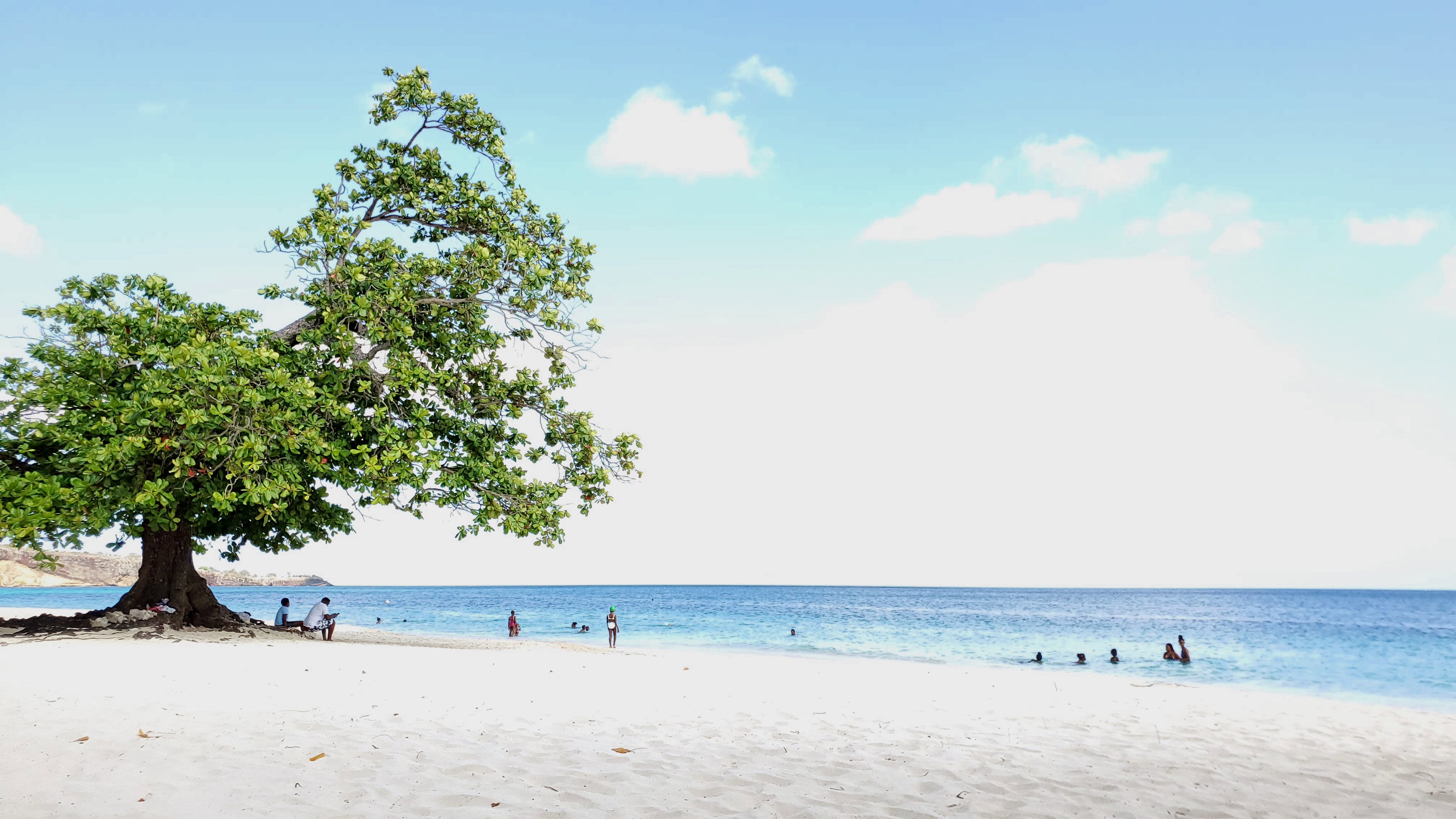 Beach Escape