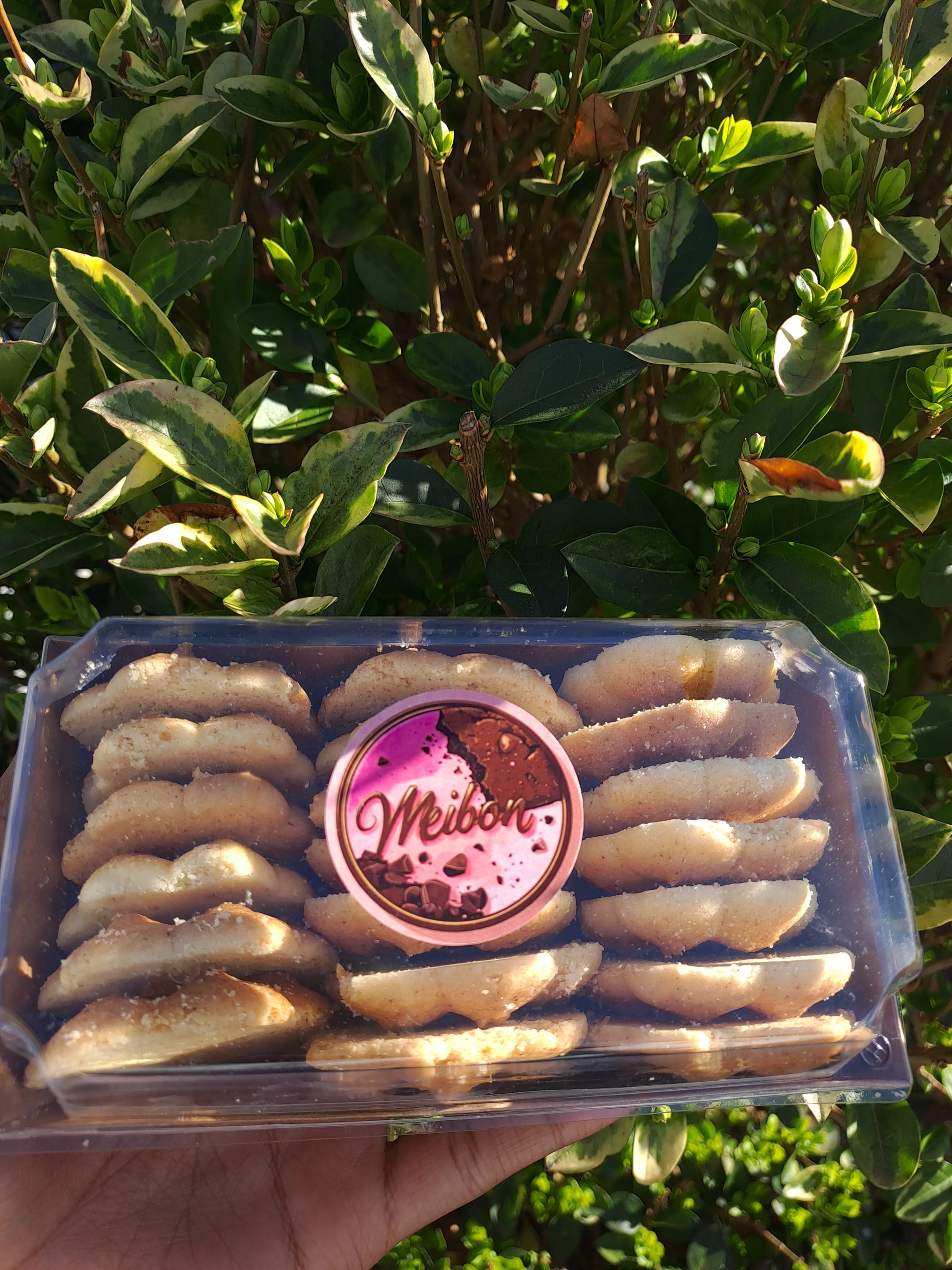 Melt-In-Your-Mouth Biscuit (Quantity - 20)_0