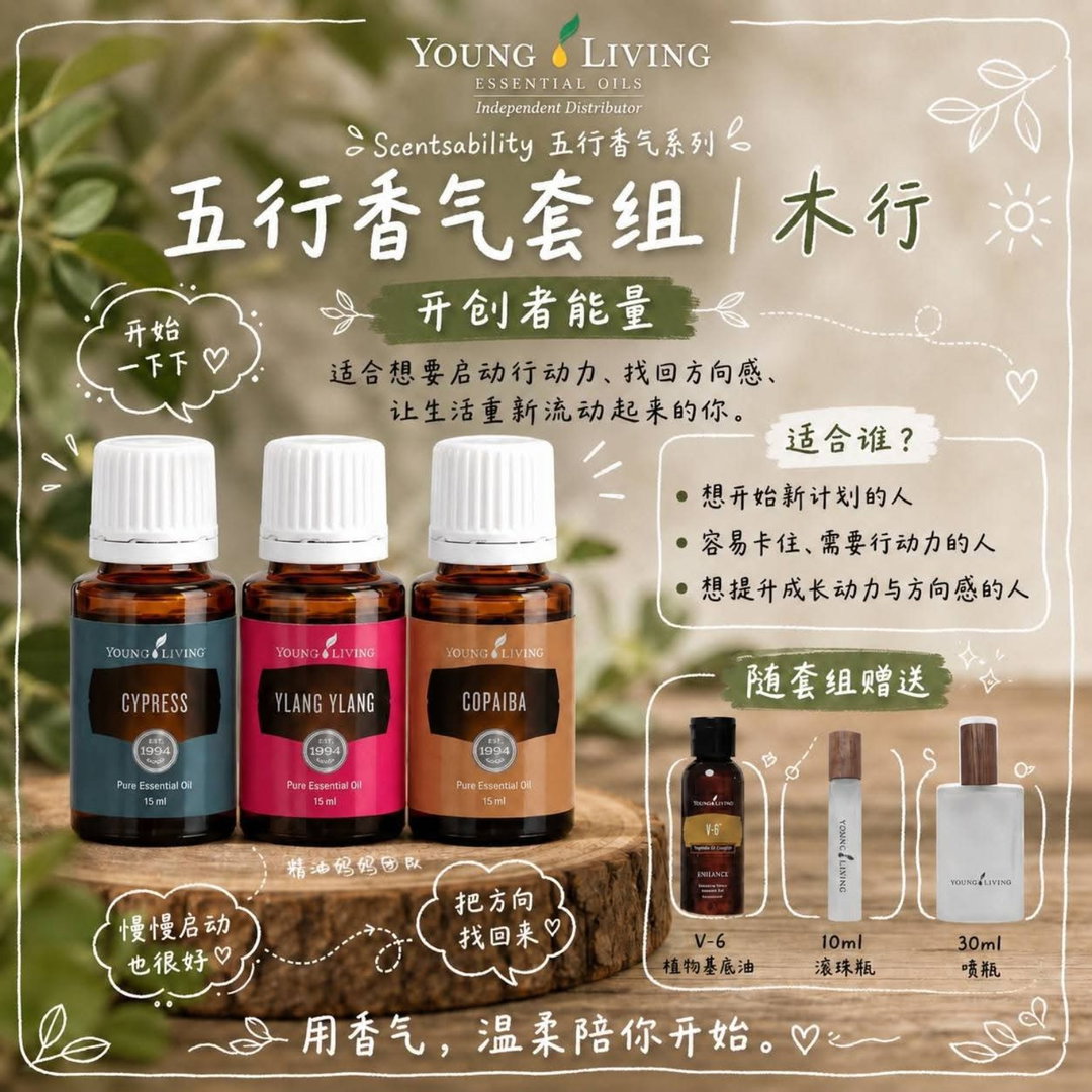 木行-开创者能量｜把方向找回来