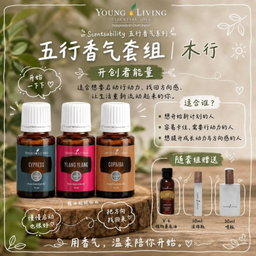 木行-开创者能量｜把方向找回来
