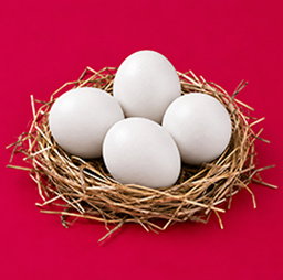 Egg