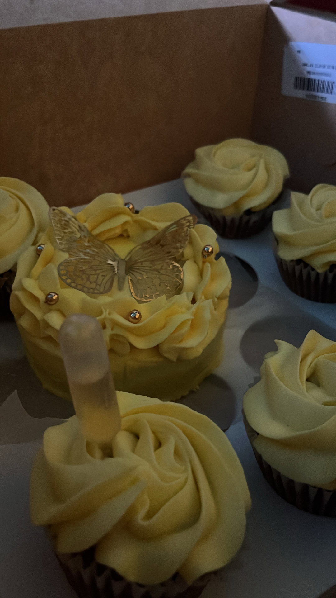     Bento Cake & Cupcake Bundle