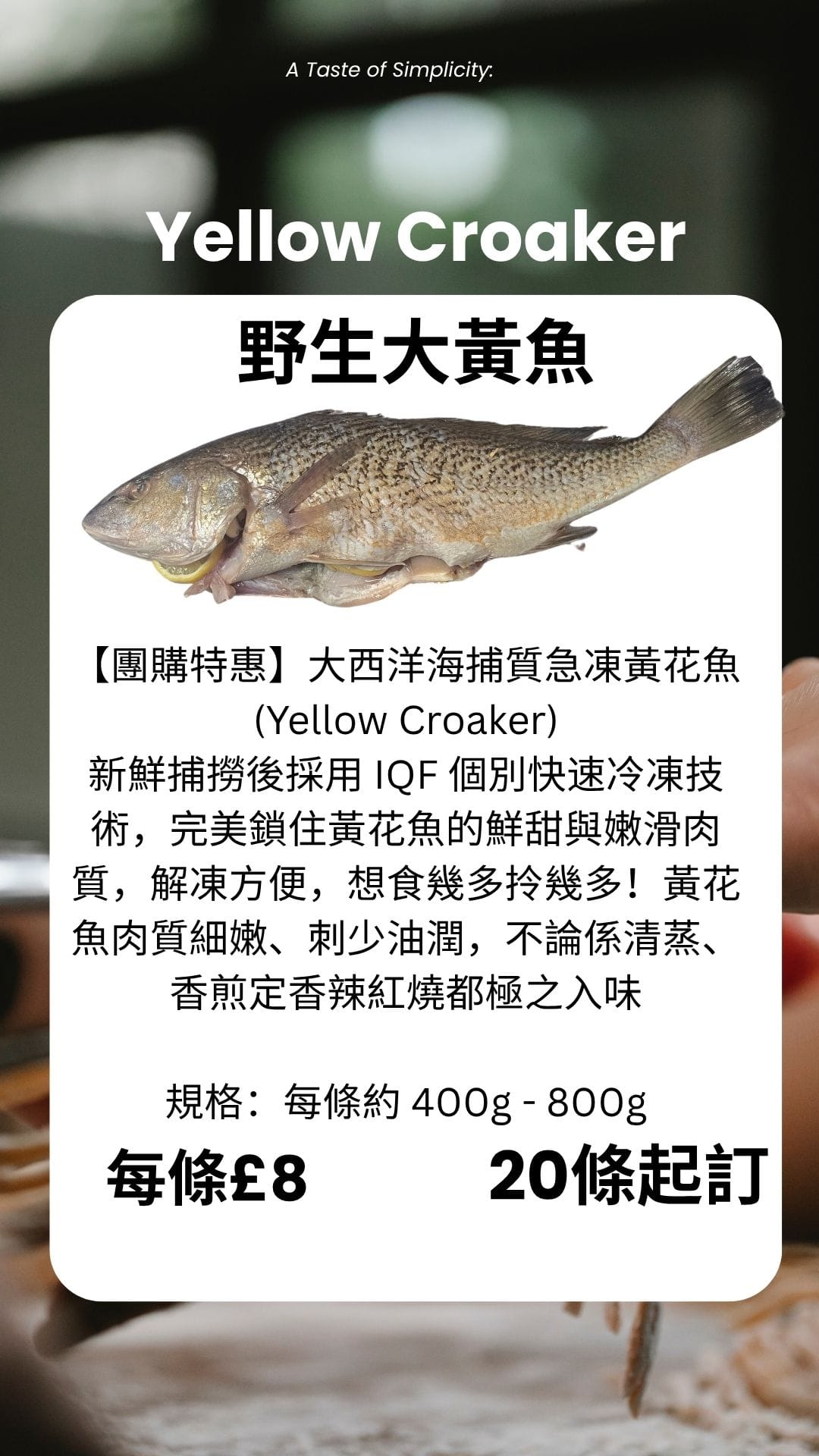 大黃魚_0