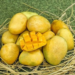 Mangoes