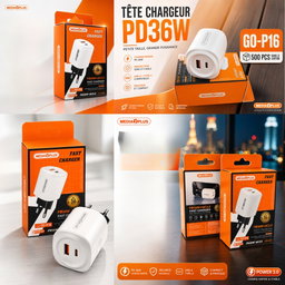 GO-P16 (tete chargeur) 
