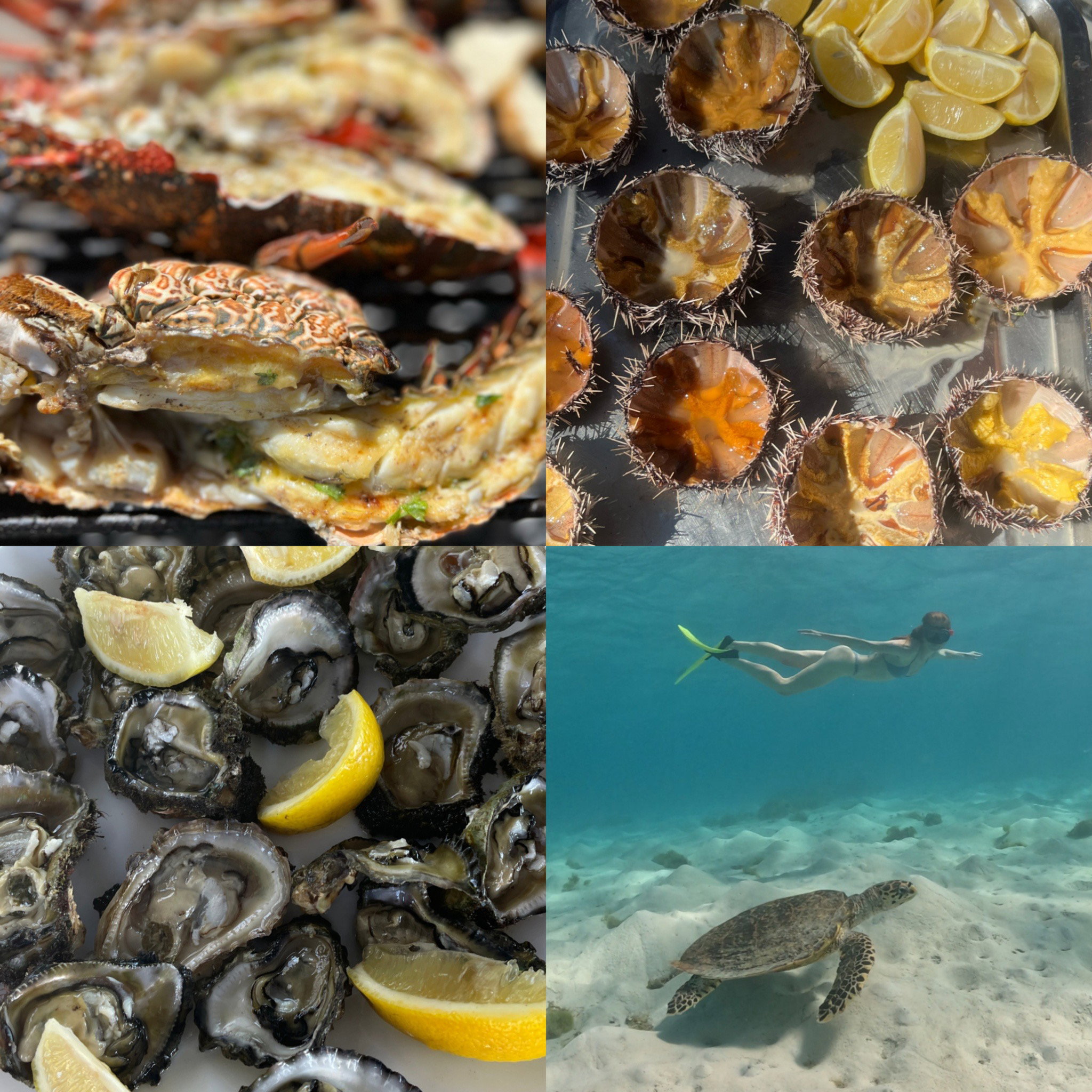 Full day trip with lunch on Ile aux Cerfs, 7 hours_0