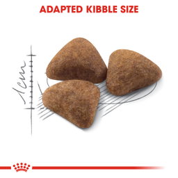 Royal Canin Indoor 27 Adult