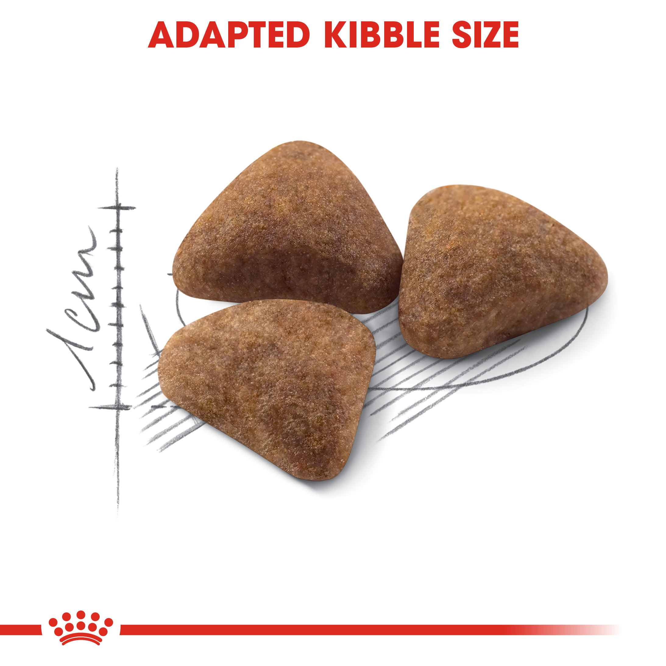 Royal Canin Indoor 27 Adult_4