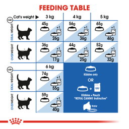 Royal Canin Indoor 27 Adult